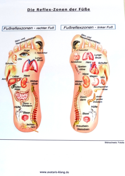 Schautafel Fussreflexzonen